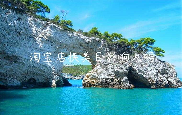 淘寶店換類目影響大嗎